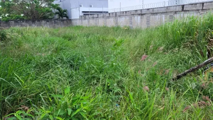 Lote à Venda 360m2 Murado em Linhares/ES