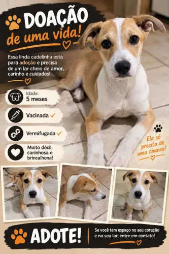 Doace Cadelinha