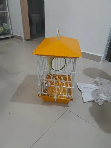 Vendo gaiola nova 