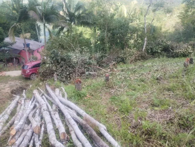 Vende-se lindo sitio(sitio parana)