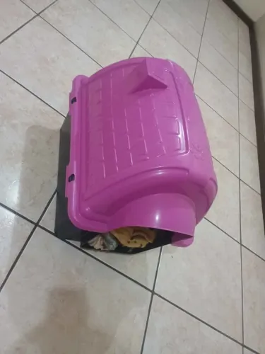 casinha pet tamanho porte pequeno