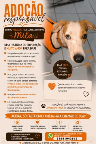 ADOÇÃO RESPONSÁVEL 