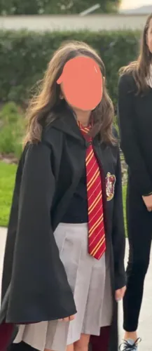 fantasia grifinoria harry potter, acompanha cachecol e varinha 