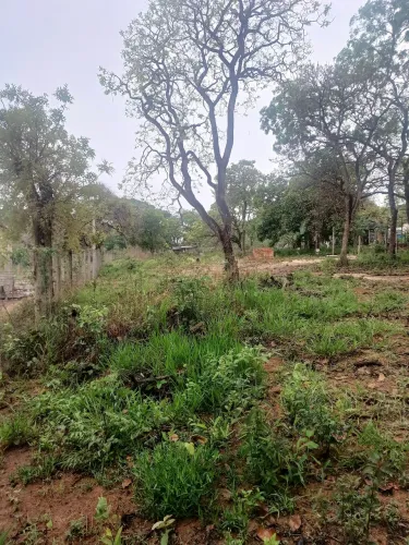 Vendo lote 600 metros documentado zona rural rua principal de ônibus Divinópolis mg