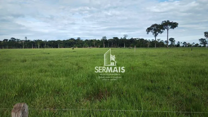 Fazenda à venda, 1500400 m² por R$ 5.580.000,00 - Zona Rural - São Francisco do Guaporé/RO