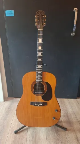 Violão Giannini AWGS Folk anos 70 aço