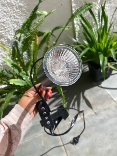 Lâmpada de Aquecimento para Répteis 110V