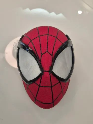 Cosplay Profissional Homem-Aranha 