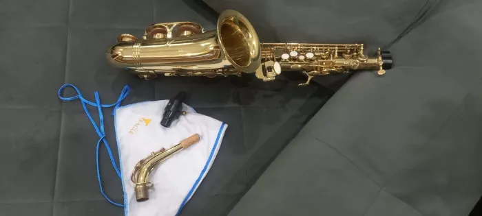 Sax Eagle 501 revisado