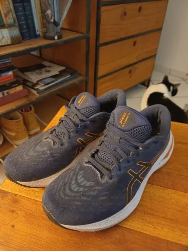 Tênis Asics GT-2000 11