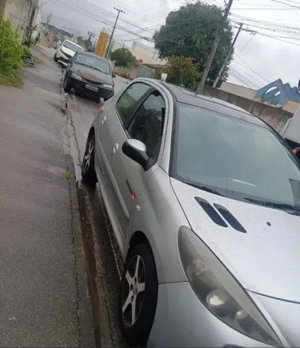 Peugeot 207 Quiksilver 1.6 Flex 16V 5P 2013