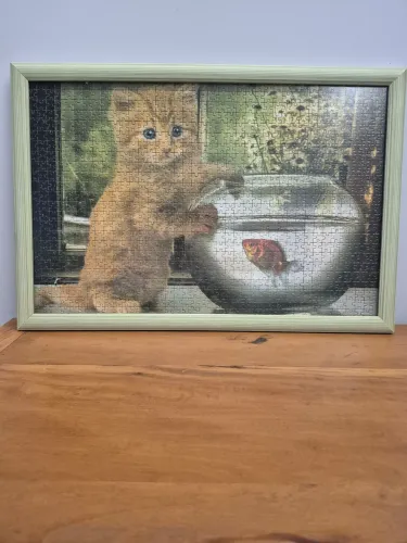Quadro de gato