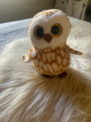 Coruja pelúcia ty