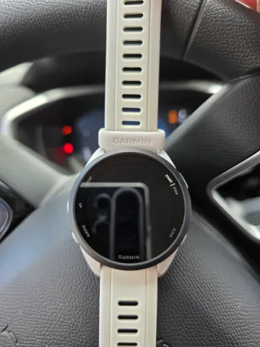 Garmin 165
