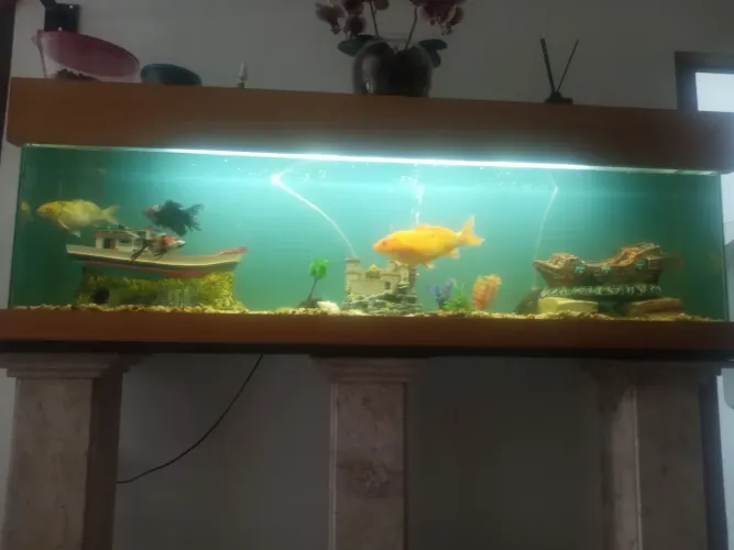 Aquário com colunas de mármore