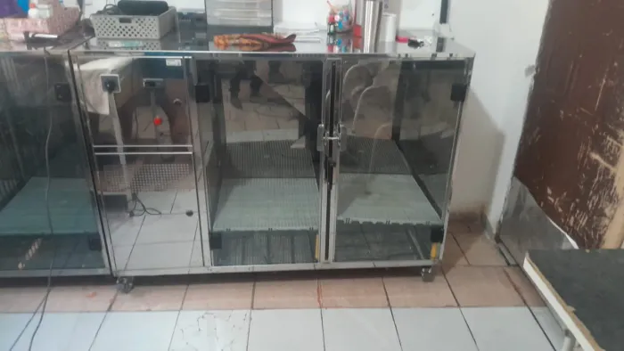Máquina de secar para pet / MINAG 127 volts