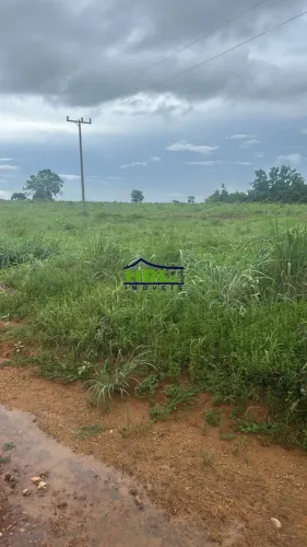 Fazenda Dupla aptidão a 40 km de Alvorada/TO