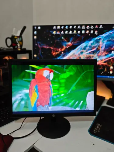 Monitor 19 Polegadas 60hz