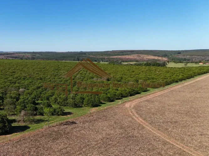Fazenda com 48,5 alqueires na região de Avaré-SP