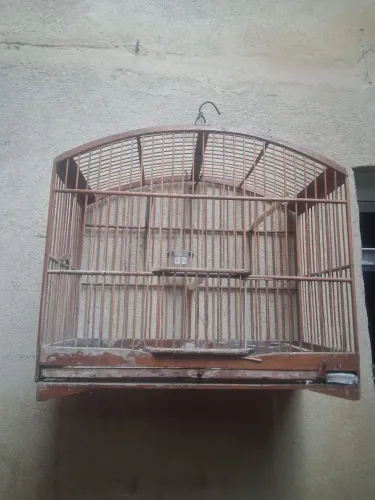 Vendo gaiola de madeira
