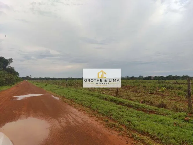 Vendo fazenda 288 alqueires na região Pium Vale do Araguaia/TO.