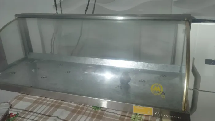Vender uma estufa 6 bandejas Nova nem um mês de uso 400 Reais 