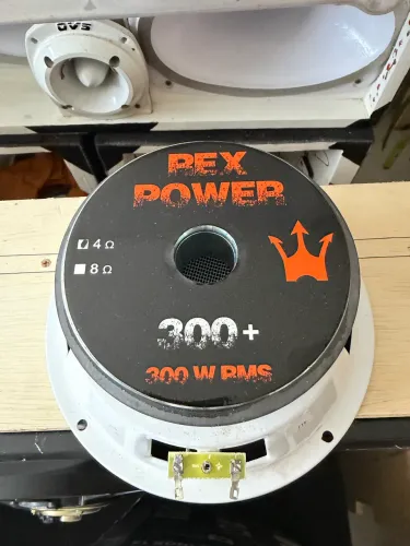 Falante Woofer Médio Grave 8 Polegadas 300w Rms Rex 300+