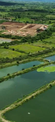 fazenda de camarão na região de pilar PB cortada pelo rio paraíba