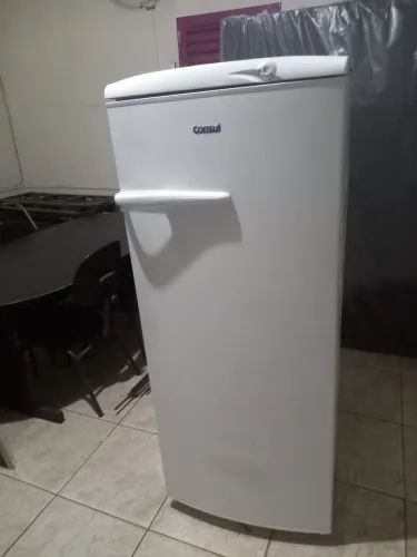 Geladeira 300 litros