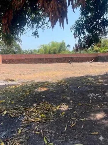 Terreno contendo 4 lotes (Murado) informações chama no WhatsApp! *