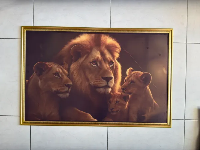 Quadro