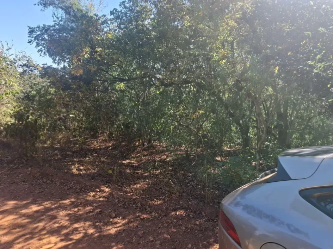 Chácara 3.000 metros em bomfinopolis