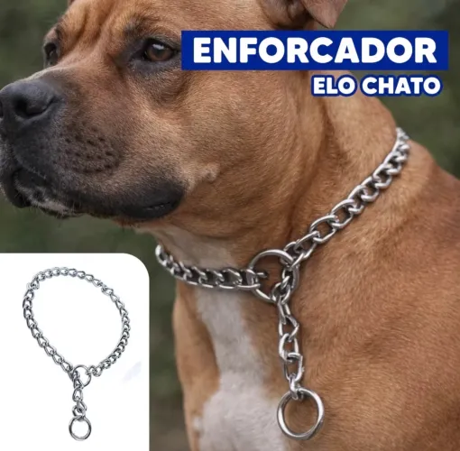 Enforcador para Cachorro Elo Chato - 2,5mm  x 50cm