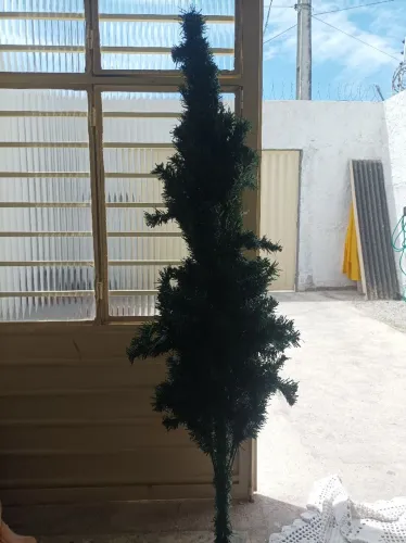 Árvore de natal