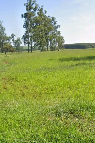 Fazenda à venda em Monte Alegre/MG com 9,2 alqueires (44,53 hectares)