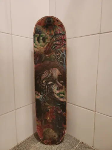 Skate Santa Cruz