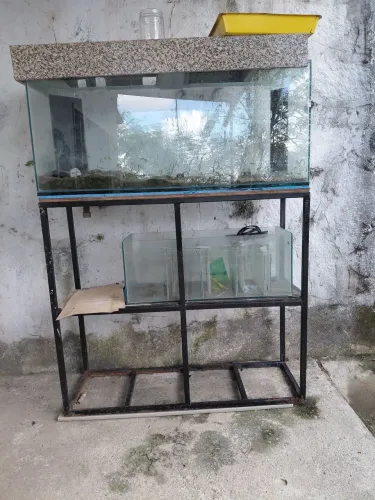 Aquário + samp