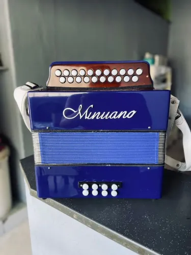 ACORDEON MINUANO 8 BAIXOS AZUL 21 BOTOES