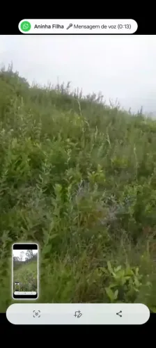 Excelente Chácara de 15.000m², localizada em Delfim Moreira, Sul de Minas Gerais.