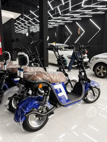 Scooter X13 elétrica,moto elétrica de 1.000 Whatts Autopropelido 
