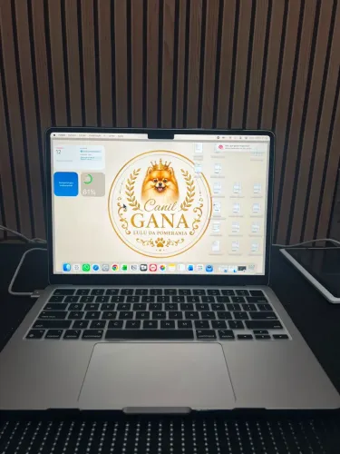 Macbook 2022