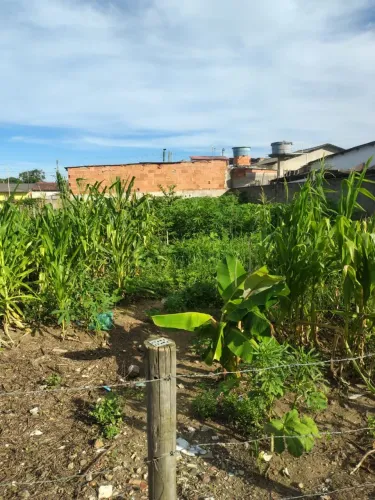 Lote no Bairro Farias