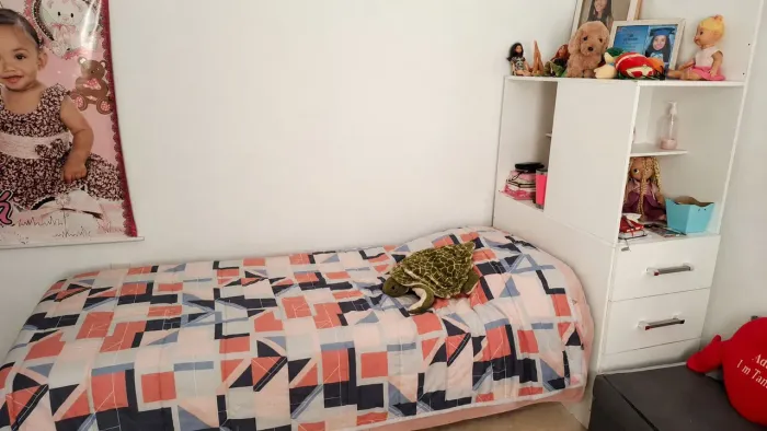 Cama com móvel aclopado
