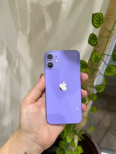 iPhone 12 mini