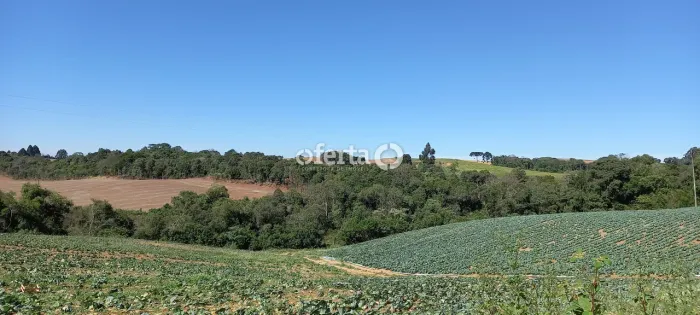 Terreno em Contenda - Industrial