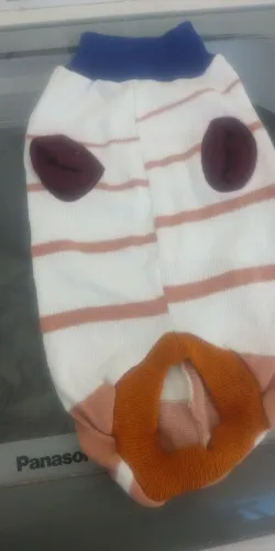 Para Pet 3 blusas mais um cinto de segurança para pet