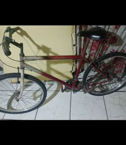 Bicicleta com garupa 