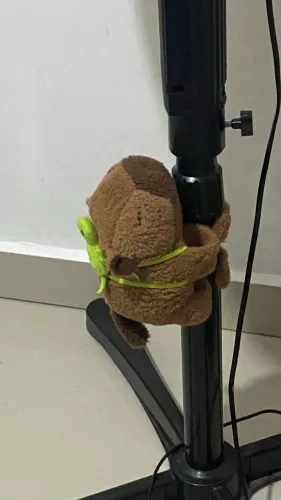 Capivara que gruda