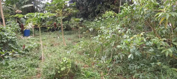 Terreno em Recanto Campo Belo - São Paulo