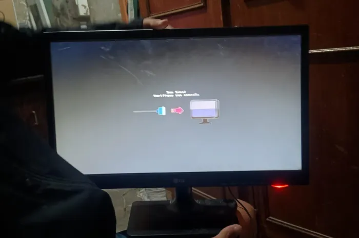 Monitor LG